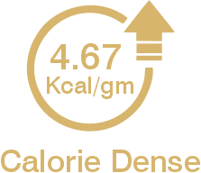 Calorie Dense
